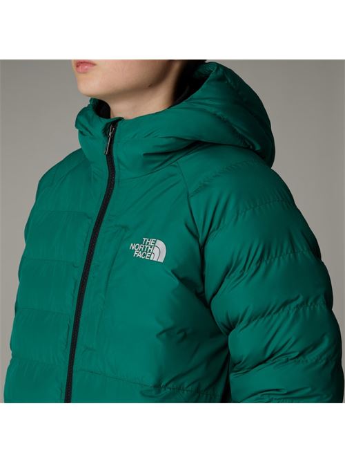 b drew peak p/o hoodie THE NORTH FACE | NF0A88TWNL11NL1